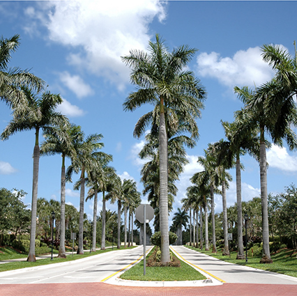 PembrokePines2website Jet Vac Workers